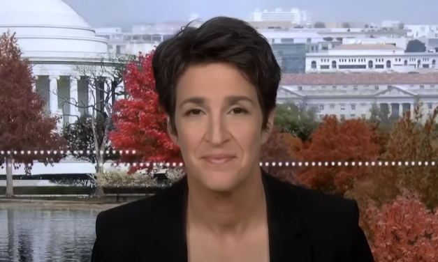 MSNBC’s Rachel Maddow believes Trump is deliberately trying to destroy our government with his cabinet picks